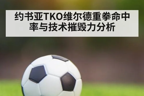 约书亚TKO维尔德重拳命中率与技术摧毁力分析